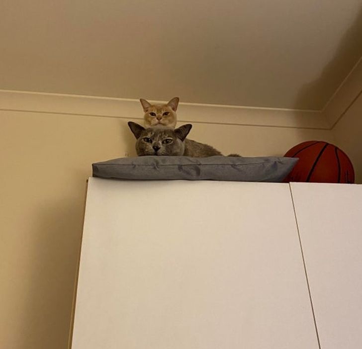 3dd79957b6afaa1f96f601f107