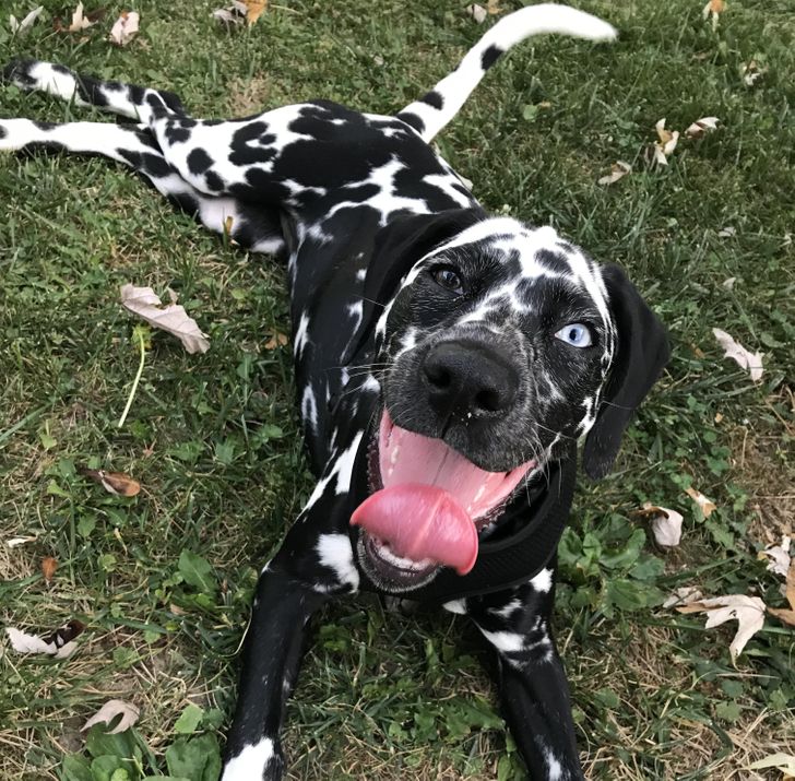 3dd9ee59938a8a5fbfc57ff827