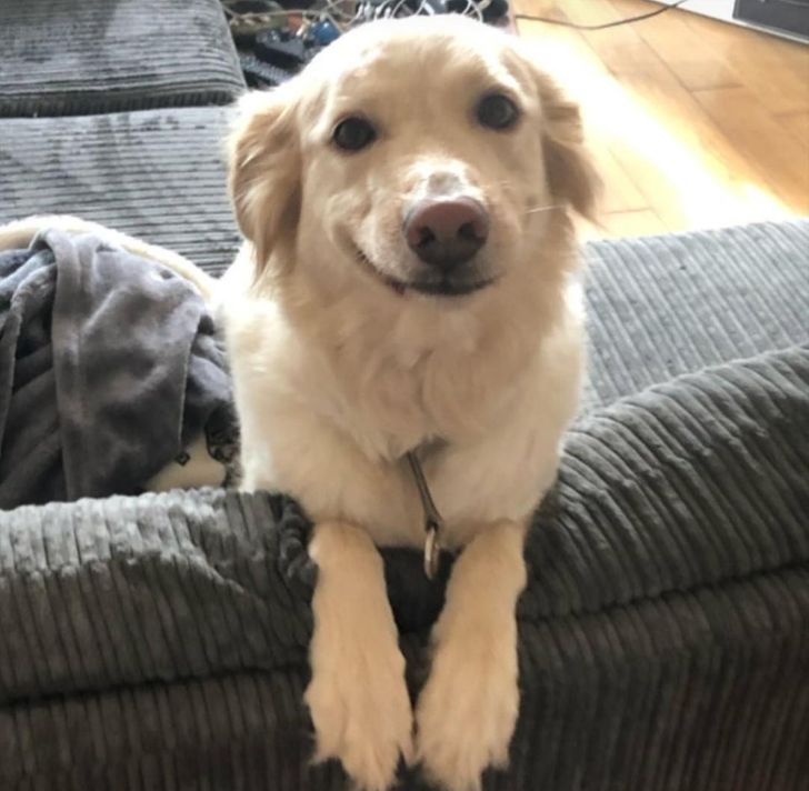 3dd9ef5e388d60febc4303c2ad