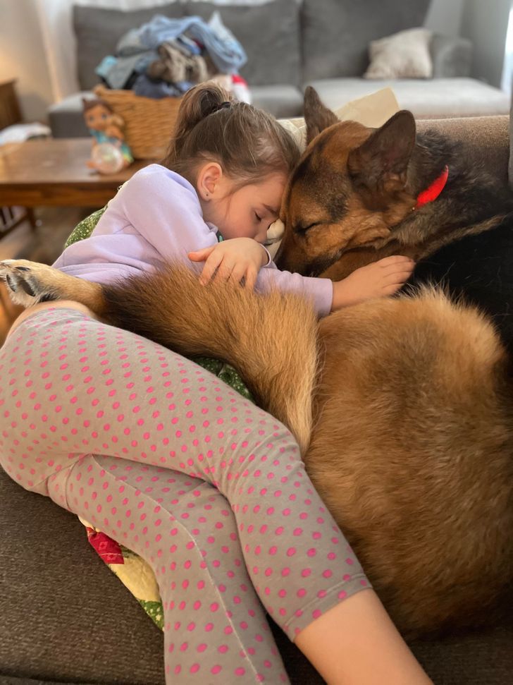 3de00550aa908b63bcc6e5a240 3de00550aa908b63bcc6e5a240