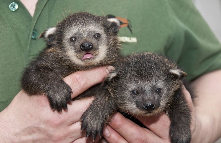 3de5c8554181f1fa5fbbdec682