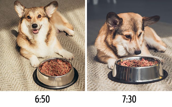 3de8d15572b645dd91e74e8020