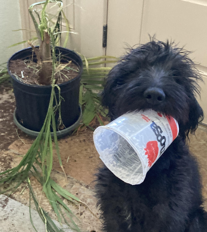 3deb935ece897eebe7bd7c93cb