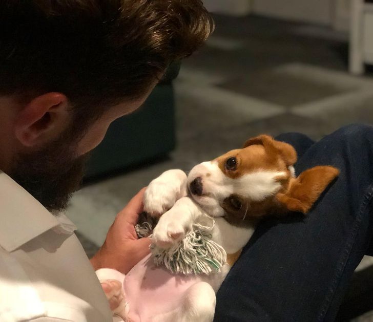 3df1b25df7b3c09c5cdf0251e7