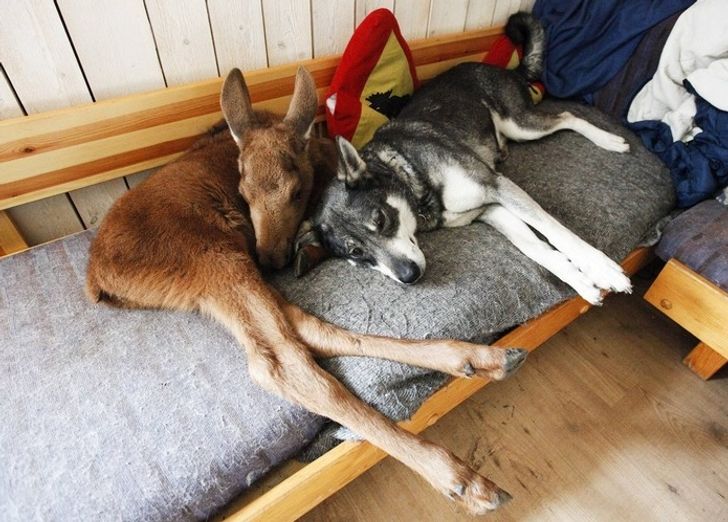 3df4d85da1a9760ff93307e222