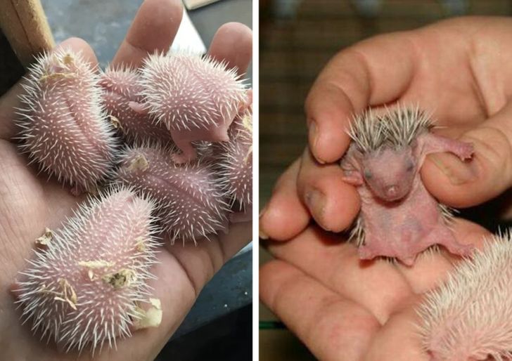 3dfdfa5f5da1a3cf1b95634834