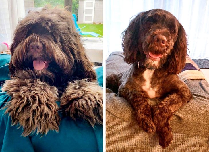 3e055750658c4d0760b43aac37