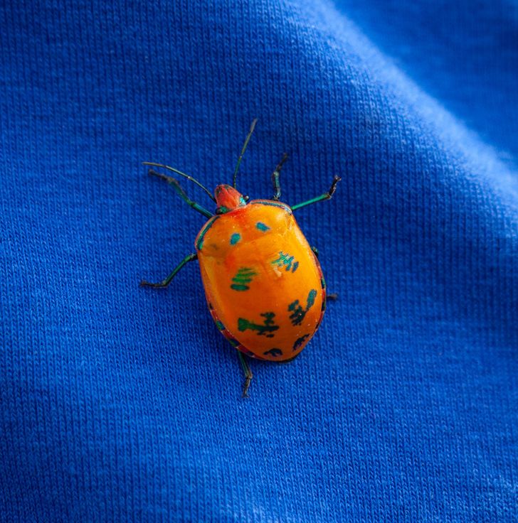 3e0a39540b95ad566adce16a9a