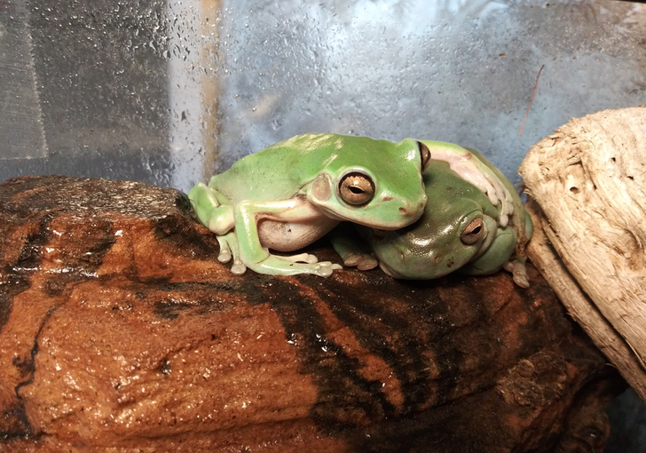 3e0a76522381f4f3ef77871dbc