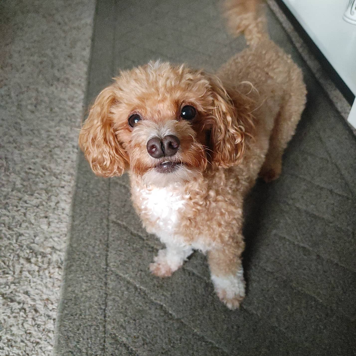 3e0be8517aacb27ae96925ea3c