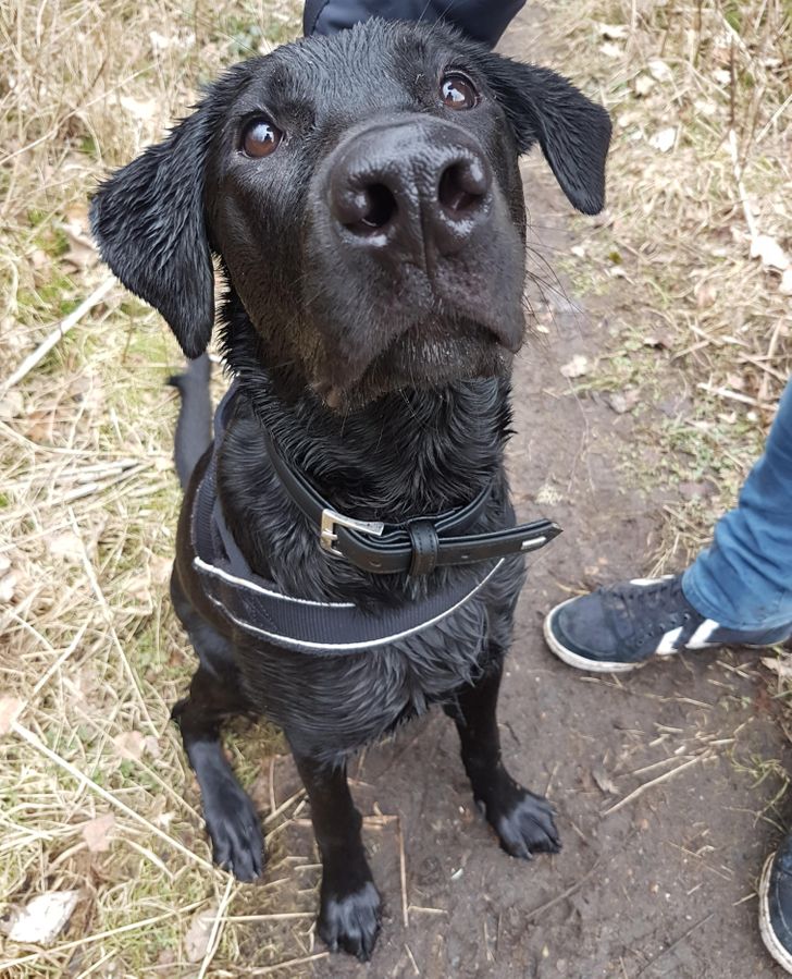 3e0f0b5ee49deb690c9313010a