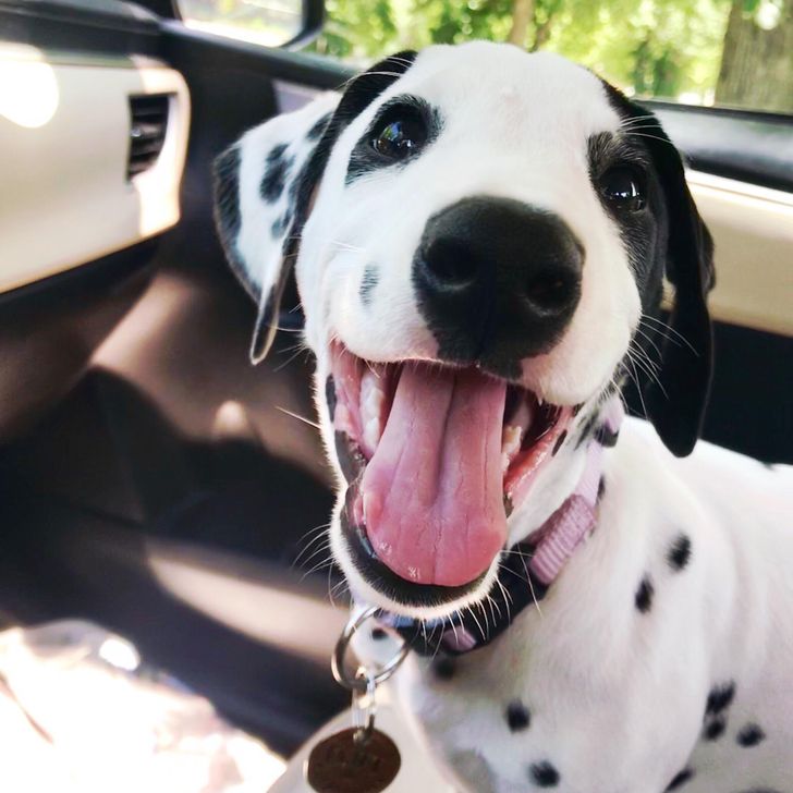 3e13915eb5a0b4b6463da0fdbe