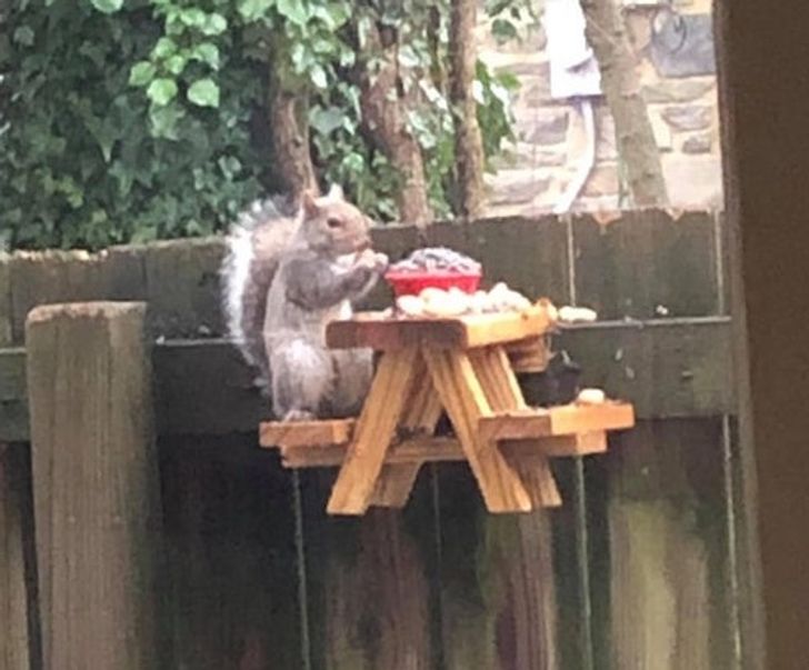 3e1c6e5125a4cc60e787b66429