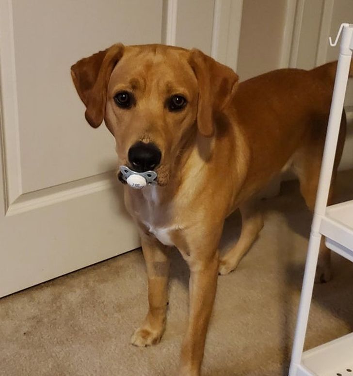 3e275f5a05a942b497fe669c69