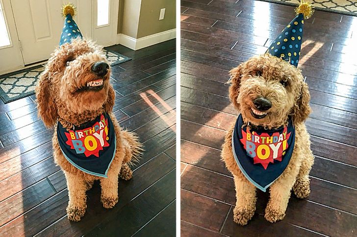 3e32585145941b8476a0c42c92