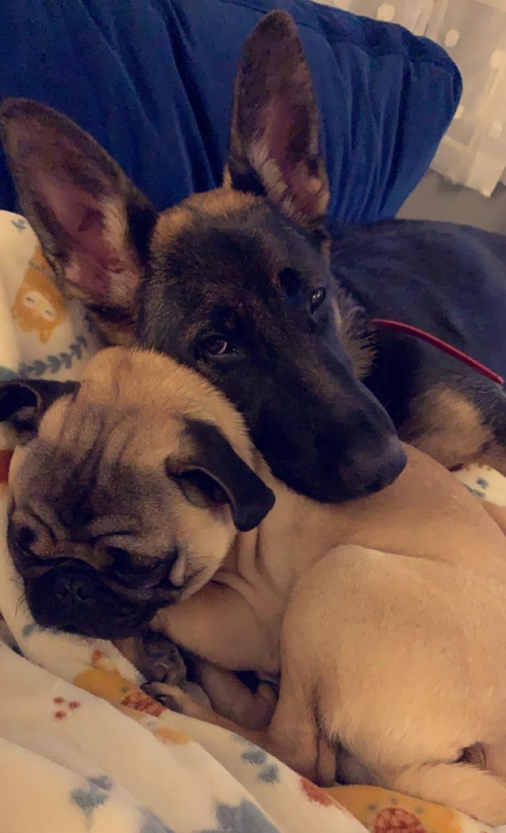 3e343655af90873a1319fd603d 3e343655af90873a1319fd603d