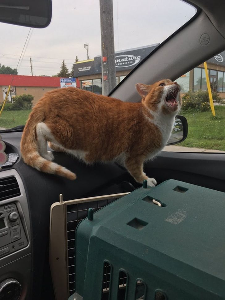 3e3c16510989be2c9d52b8edb5