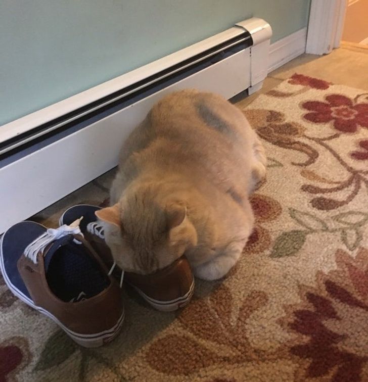 3e453f5af8831e467289304473