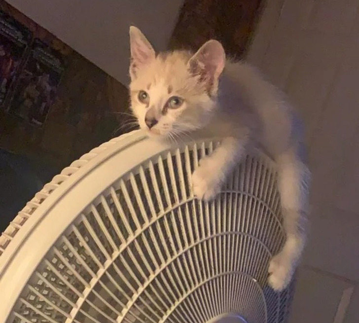 3e484e525da917ab6c2e8651af