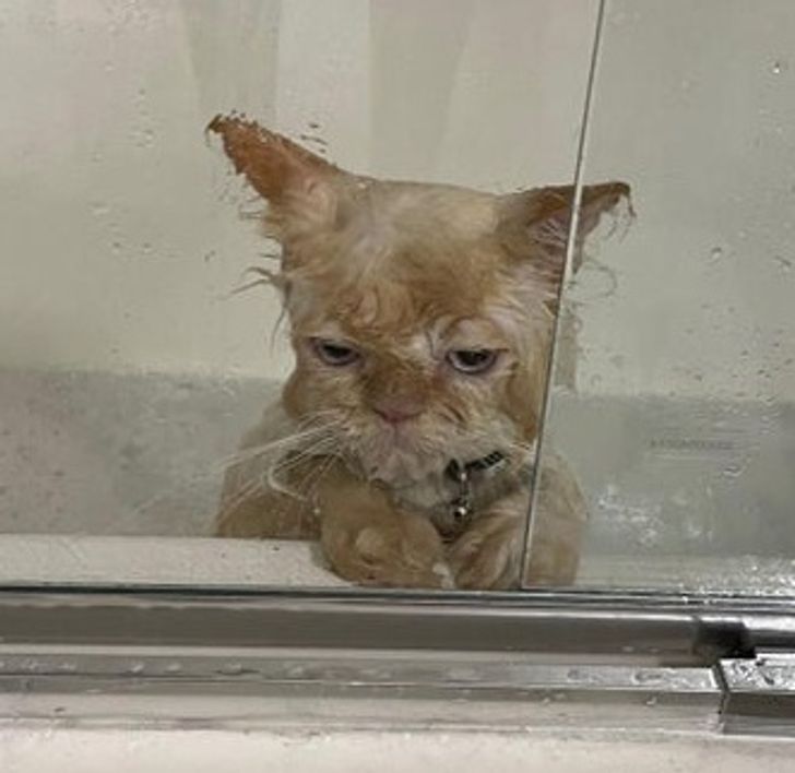 3e4c2258c7bfe9913b286d3796 3e4c2258c7bfe9913b286d3796