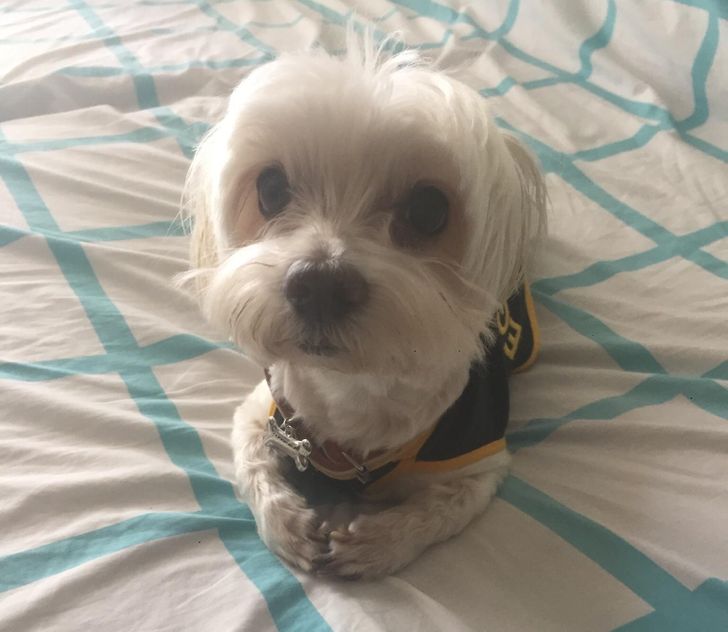 3e5c98500aa6fbc7b212aaedc4