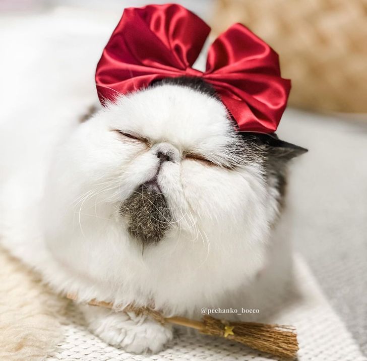 3e603c557596e2e92ff75ad205