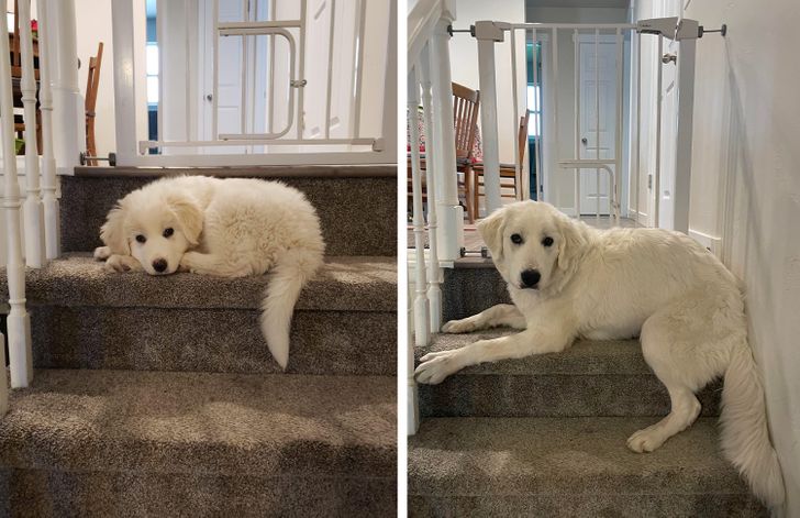 3e613c531e8da108f8c0f2be08