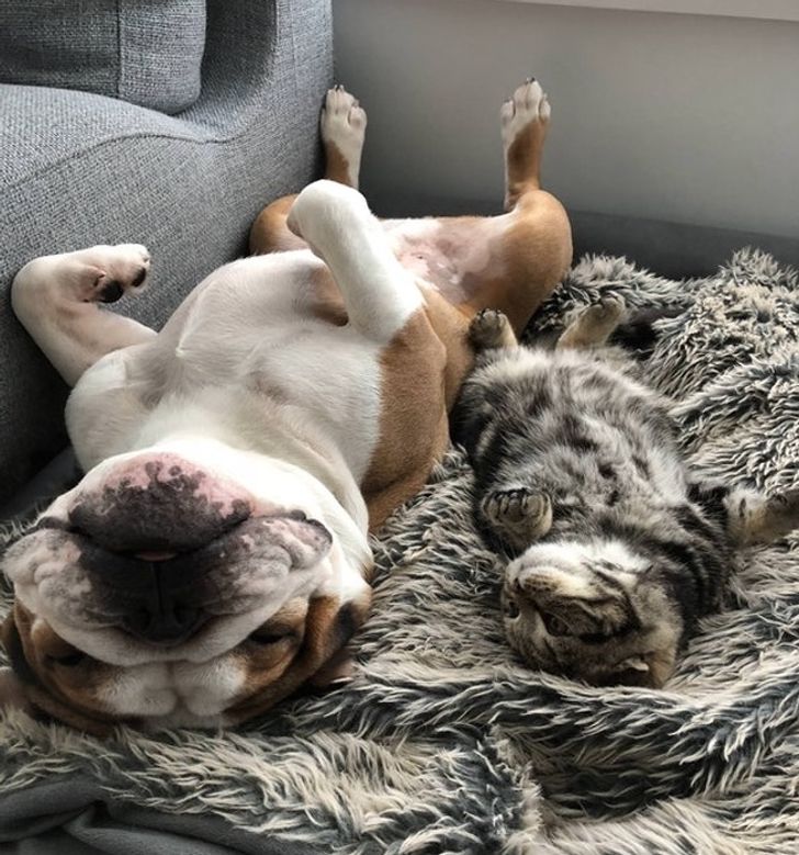 3e614a53cda79069421de7c1c7