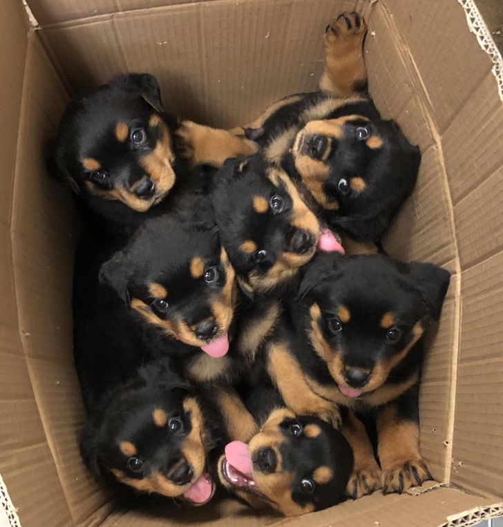 3e6bc058e488c5a2f20698951a