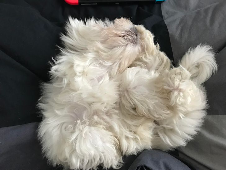 3e6faf5718be642bdef7205312