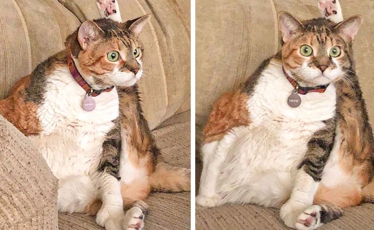 3e7c17592489918ce56a46429b