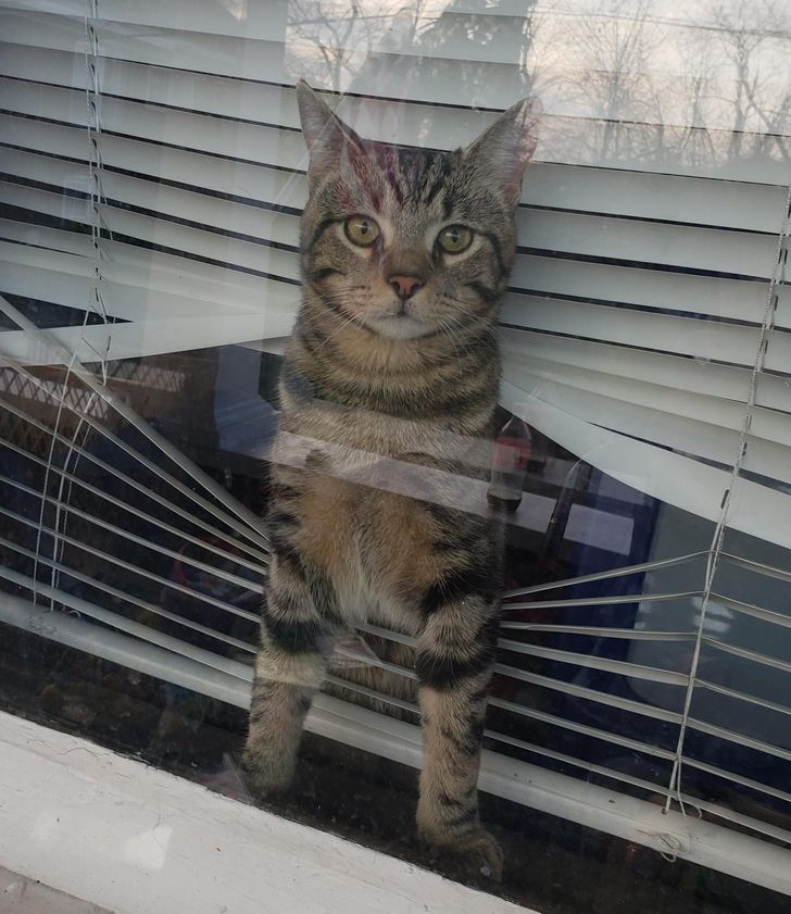 3e8a45556eb0f19d79301fbf5c