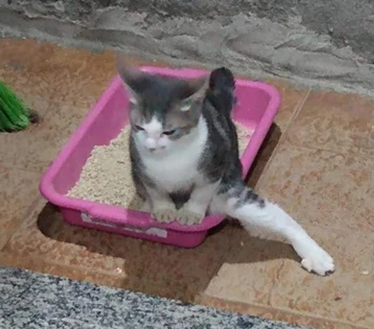 3e96f958d6be16cb70cb4a2c9e 3e96f958d6be16cb70cb4a2c9e