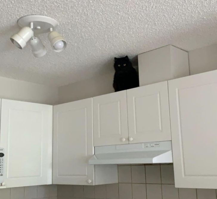 3e9a8856e68420a20050fb174a