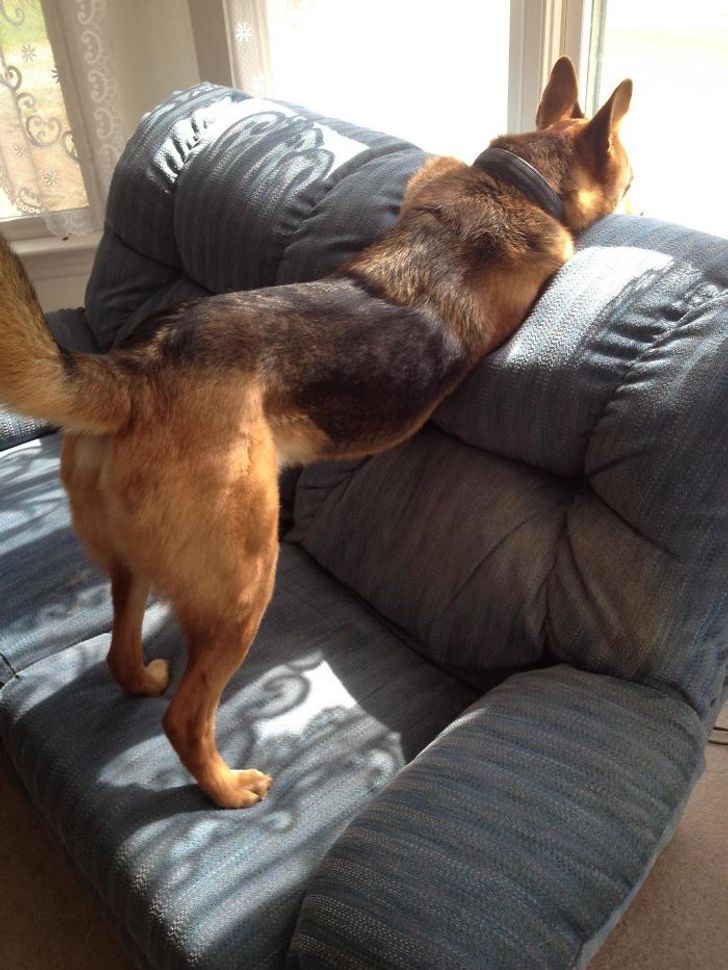 3e9ba0571ab290f92896746d0f