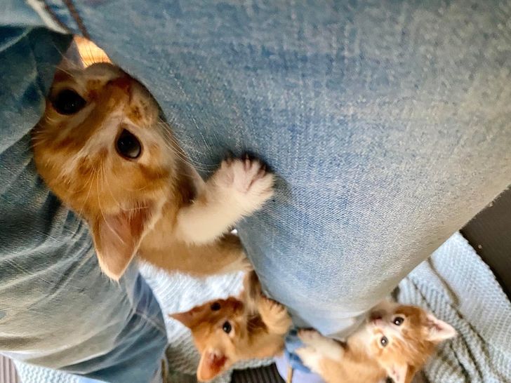 3ea3e8560a83dc34eb1b60cd64