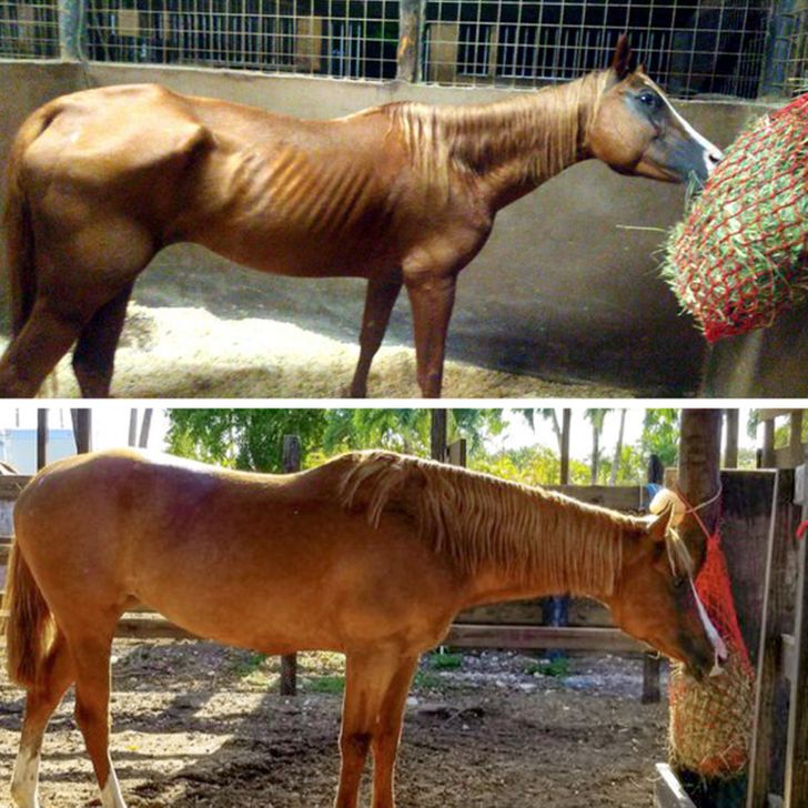 3ea84f5dc29759dee3ebda7b21