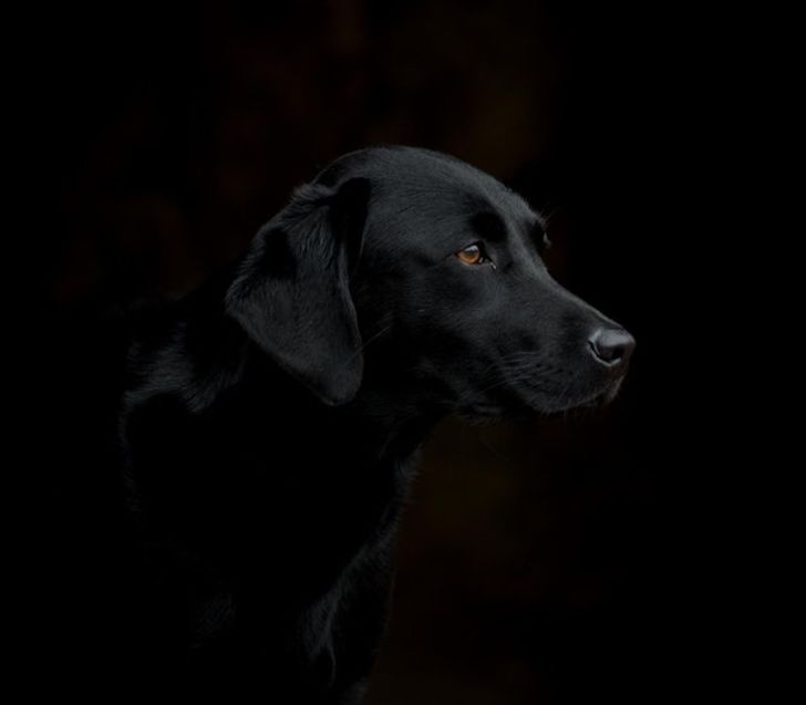 3eac605cdb821d0ae661232f2f