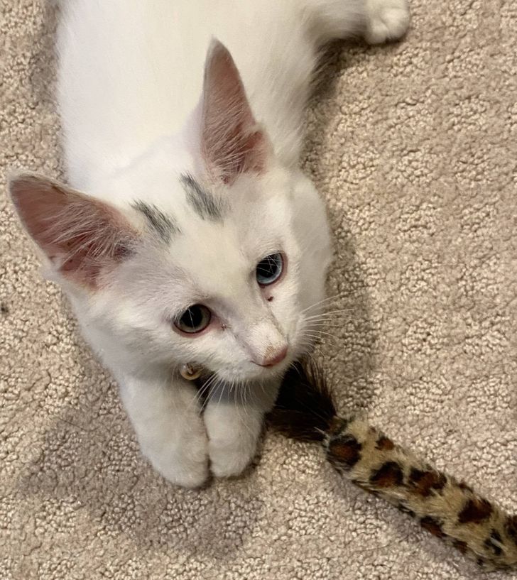 3eb0bb598d8d33a2f85d0bdd08