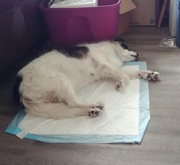 3eb25e5af69c637999b22ab3c4