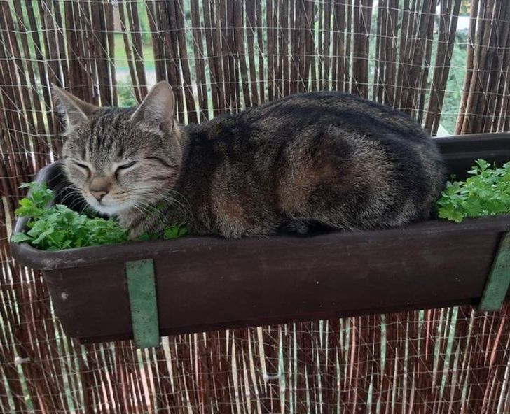 3eb775552688494a7ed26ef46f 3eb775552688494a7ed26ef46f