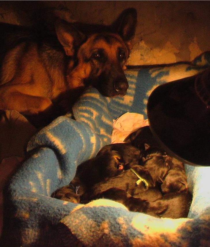 3ec44458168acabc963119643d