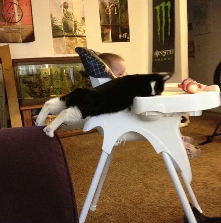 3ecd0453ea81d5c2b09c010b60