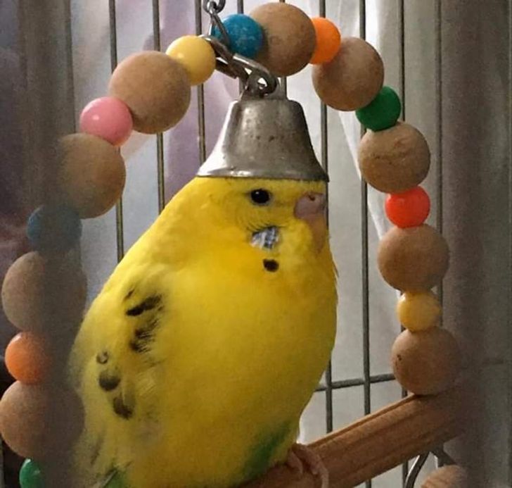 3ee30b5c6d8bc1f1e128c38ab3