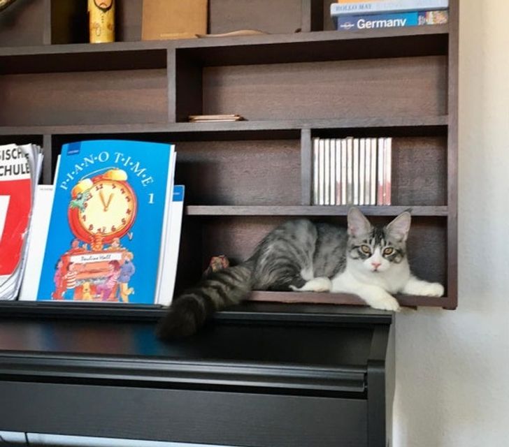 3ee5365bfc87f5425bec2d4276