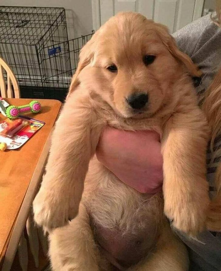 3eee7455bb90bc29db2ee5d9d1