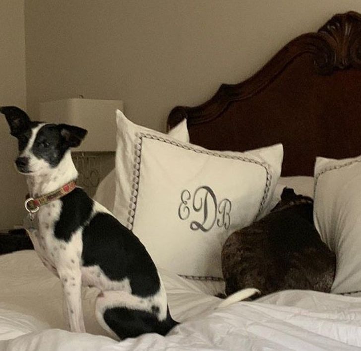 3ef0195c68a665f80c0c1e92f1