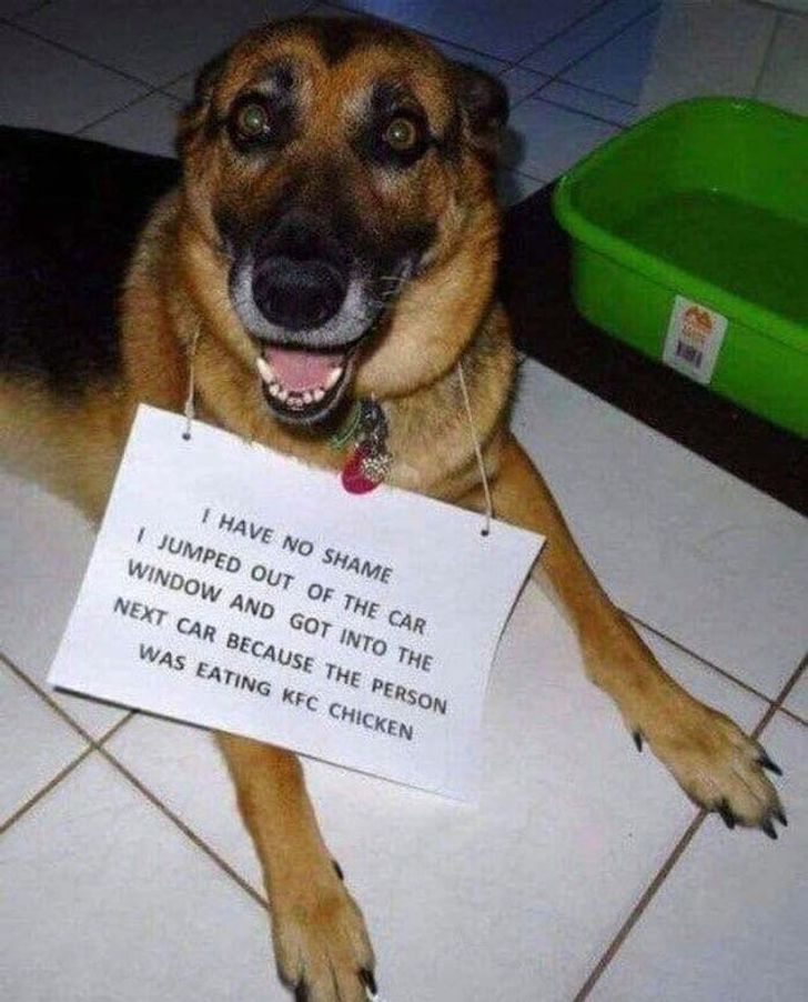 3ef46150fab6483c8d101ba778