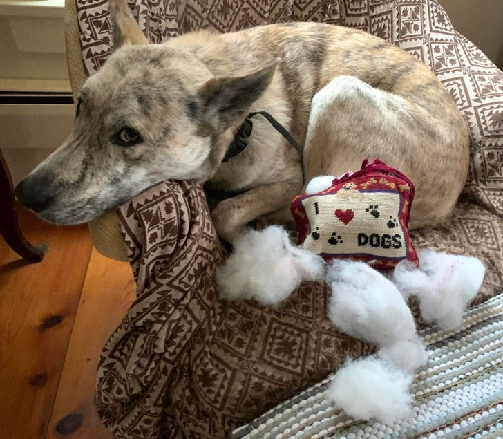 3ef67c576d9d907f67db7c98a6 3ef67c576d9d907f67db7c98a6