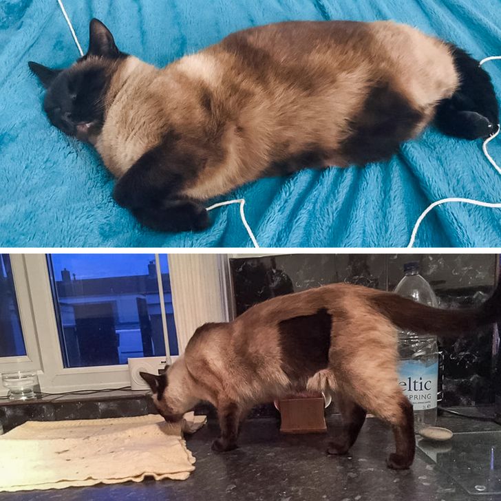 3f075c53f8a6f3dd313d671386